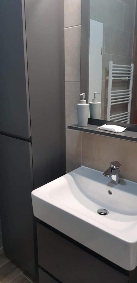 דירות בראשוב Apartament Modern Ioan Popasu מראה חיצוני תמונה